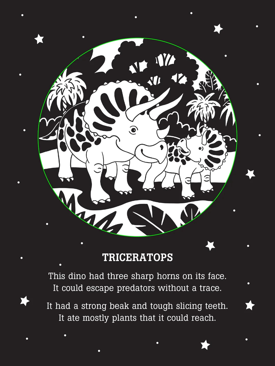 Bedtime Shadow Book Dinos After Dark