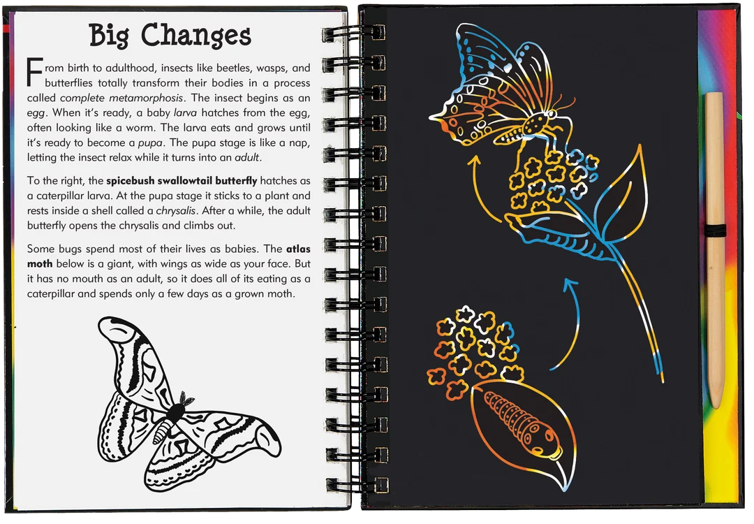 Scratch & Sketch Bugs!