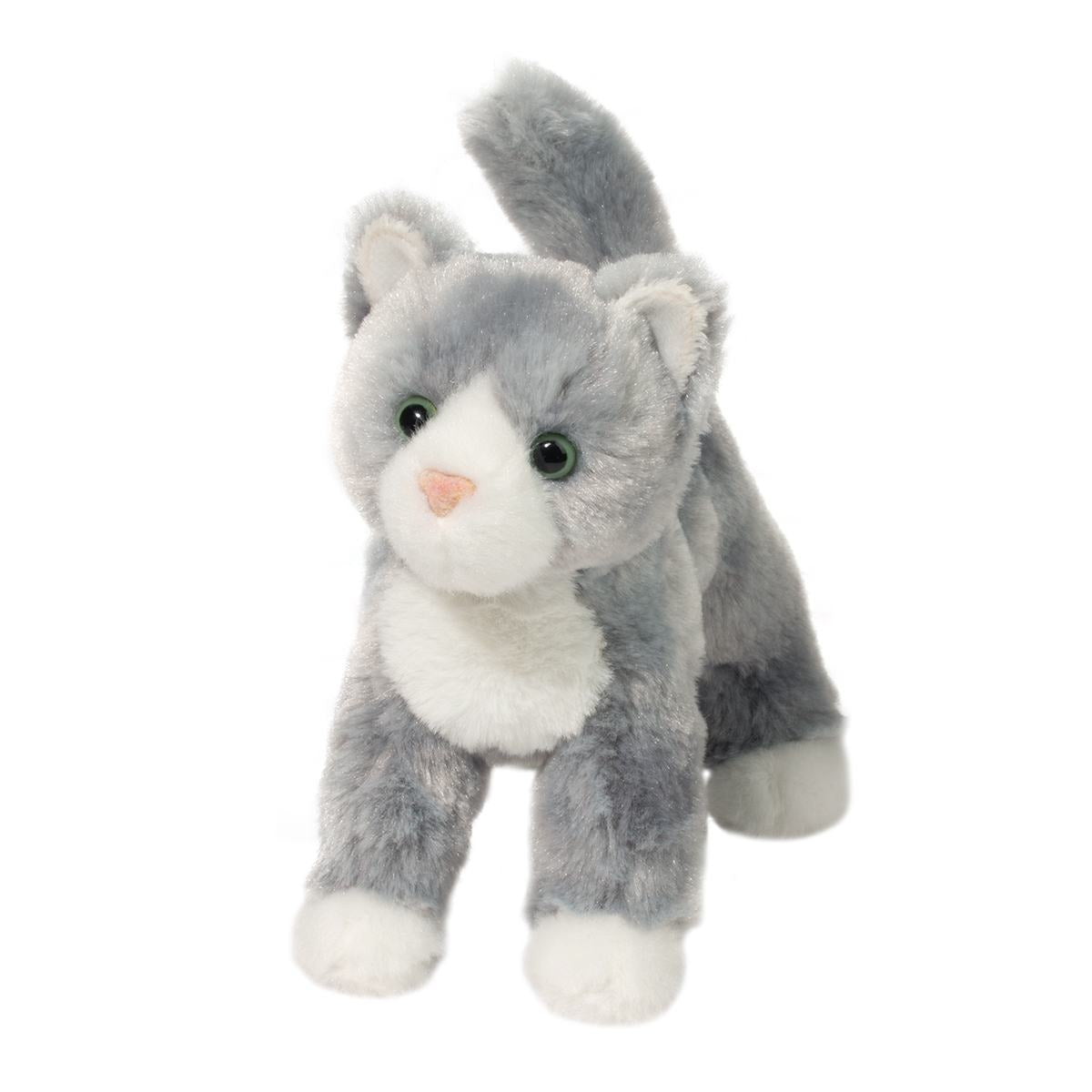 Scatter Grey Cat