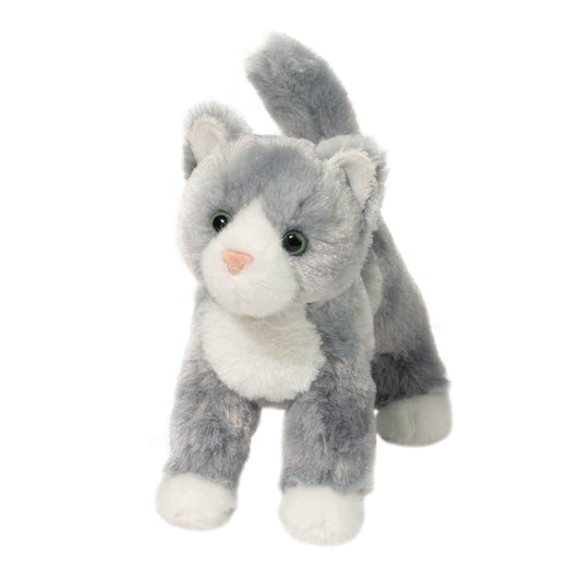 Scatter Grey Cat