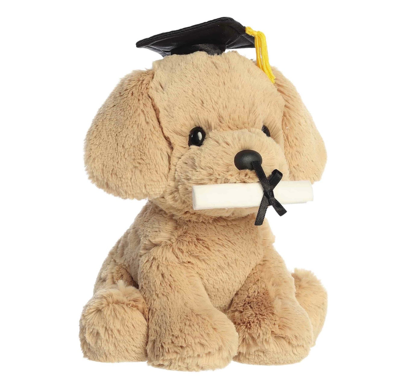 Graduation Retriever Pup