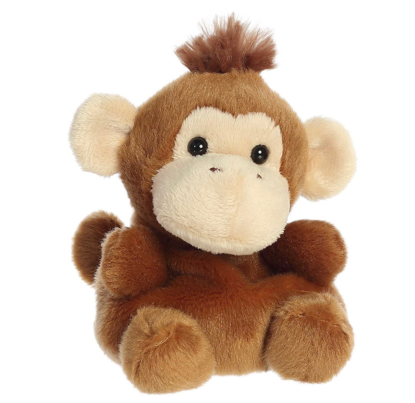 Palm Pals Boomer Monkey