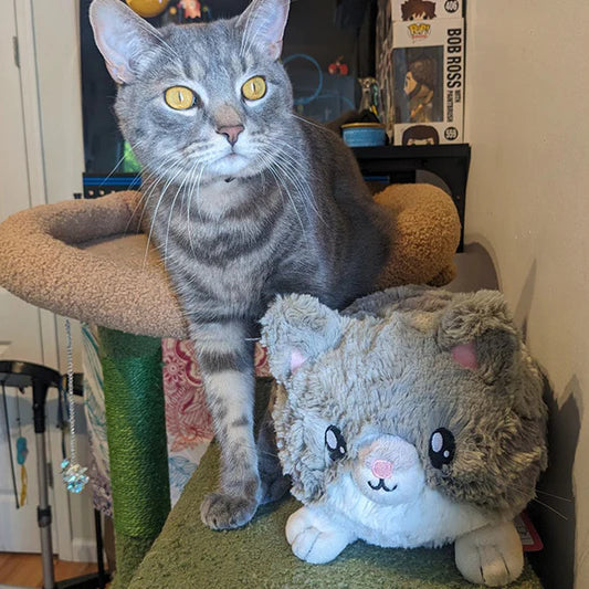 Squishable Mini Grey Kitty