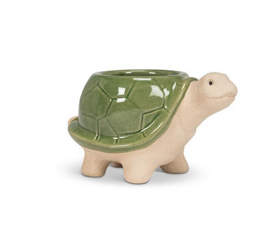 Turtle Planter