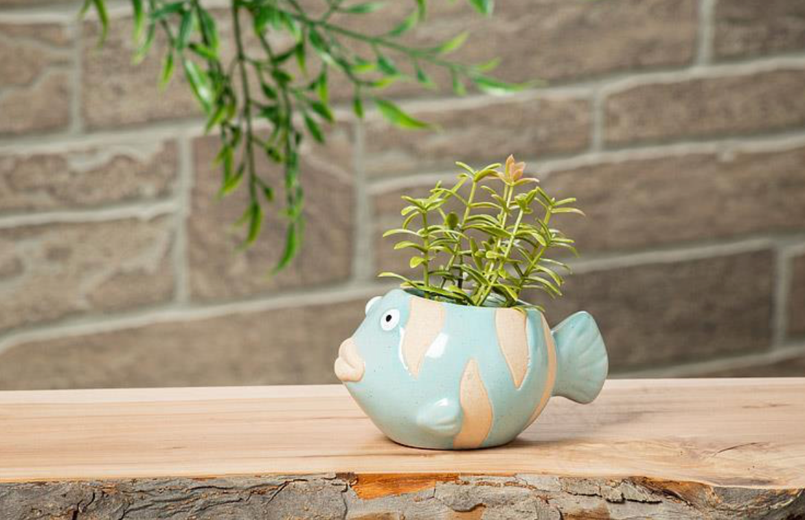 Fish Planter