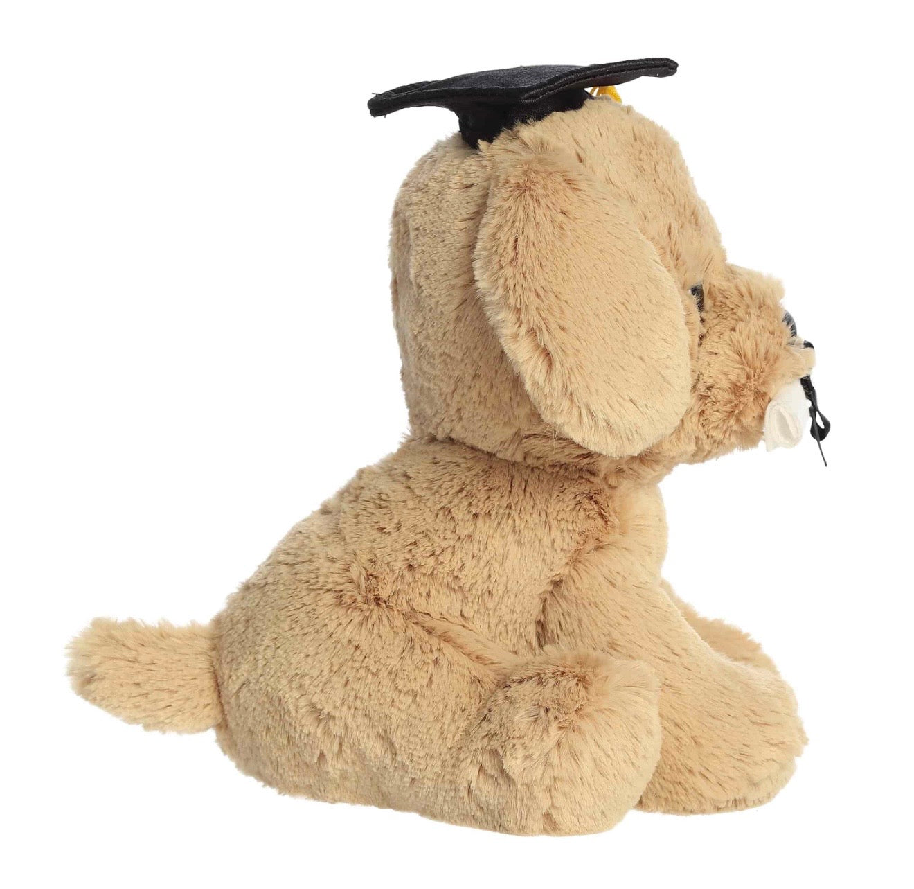 Graduation Retriever Pup