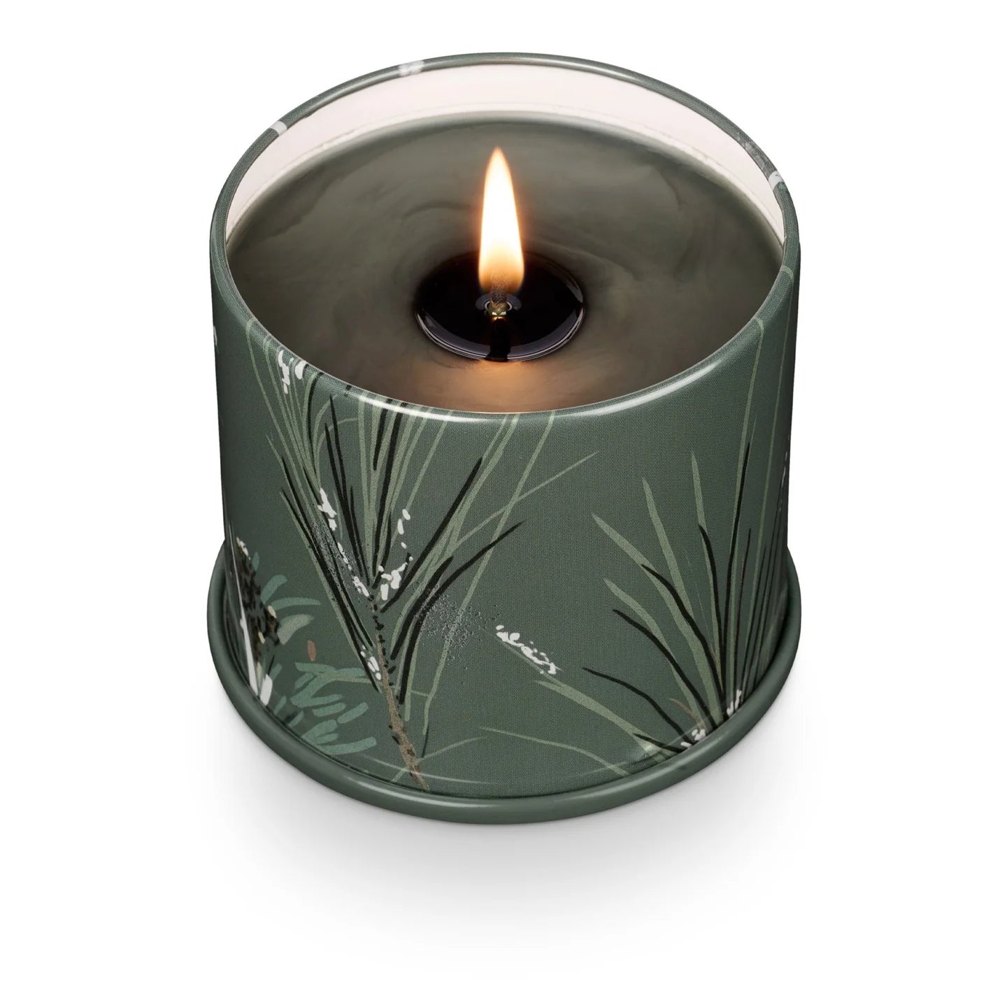 Illume Small Balsam & Cedar Candle