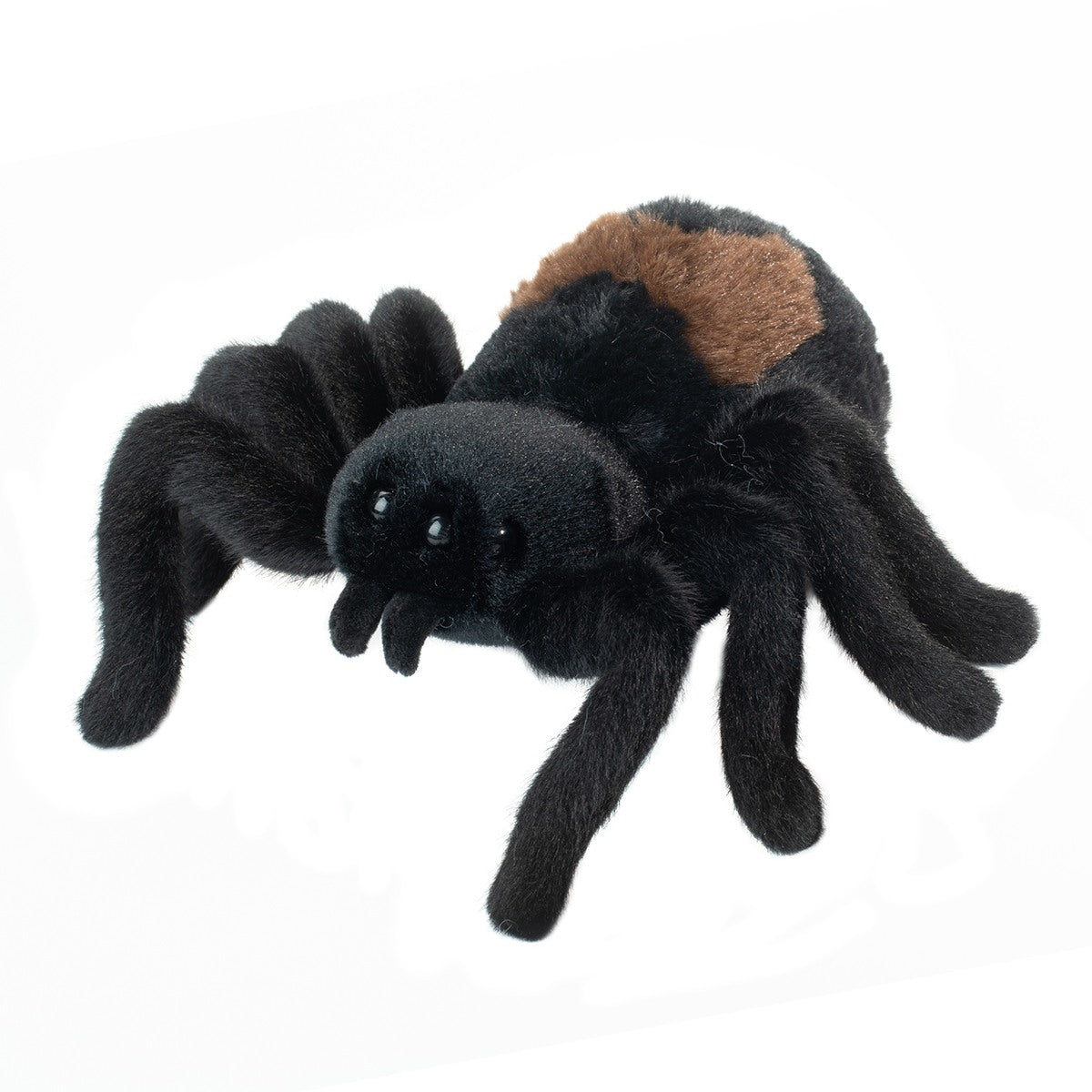 Douglas Sneakie Spider
