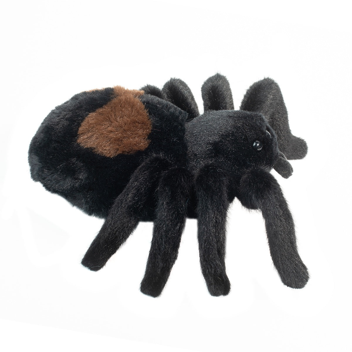 Douglas Sneakie Spider