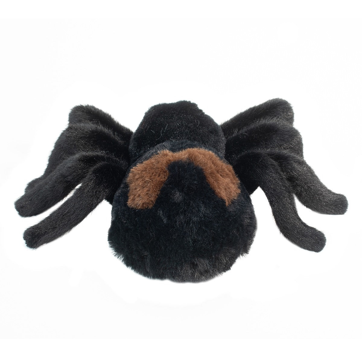Douglas Sneakie Spider