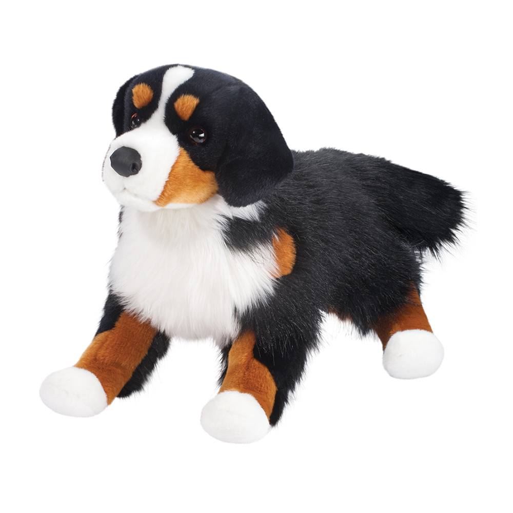 Douglas Alps Bernese Mountain Dog