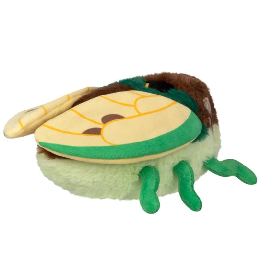 Squishable Snacker Cicada