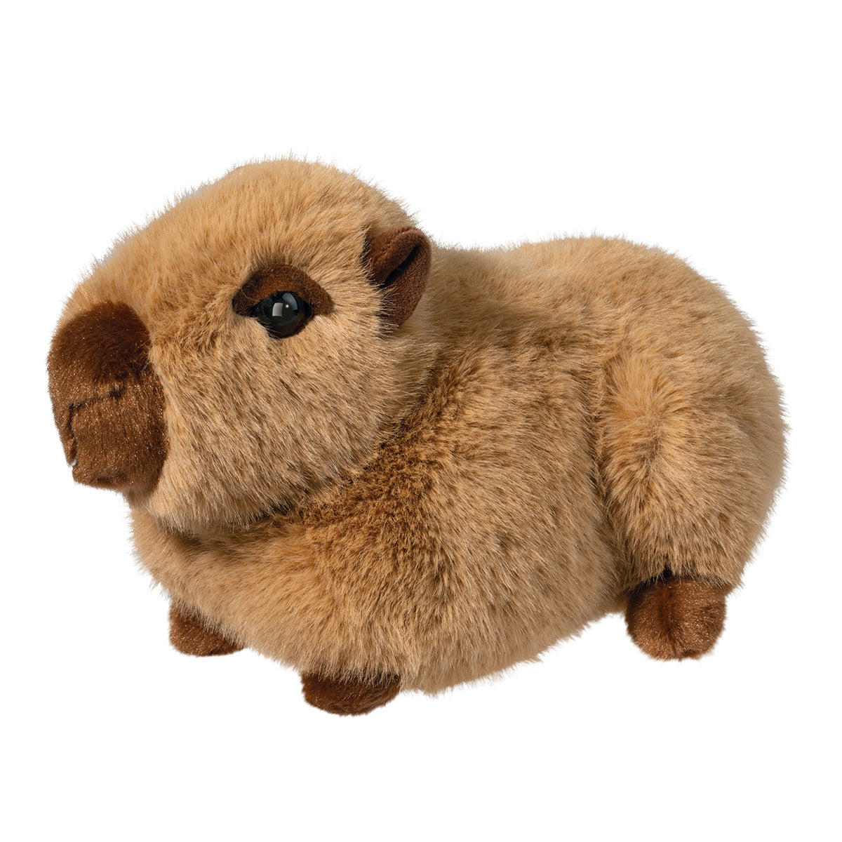 Chattie Mini Capybara