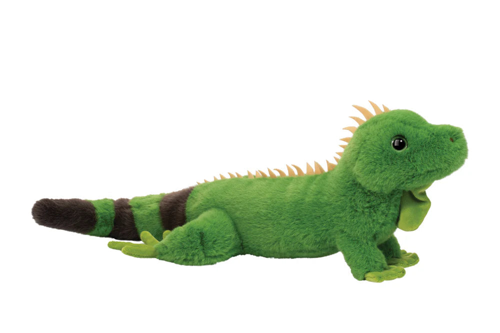Buddie Iguana