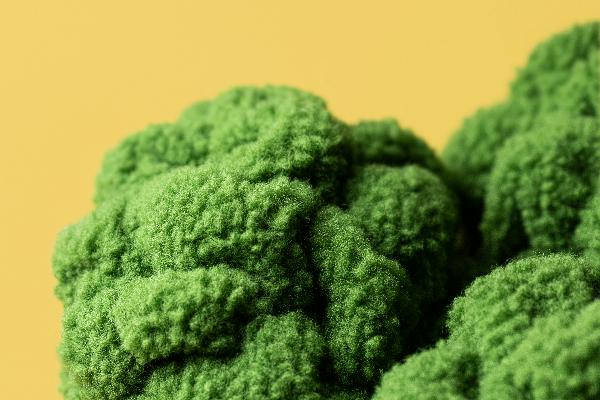 JellyCat Amuseables Broccoli