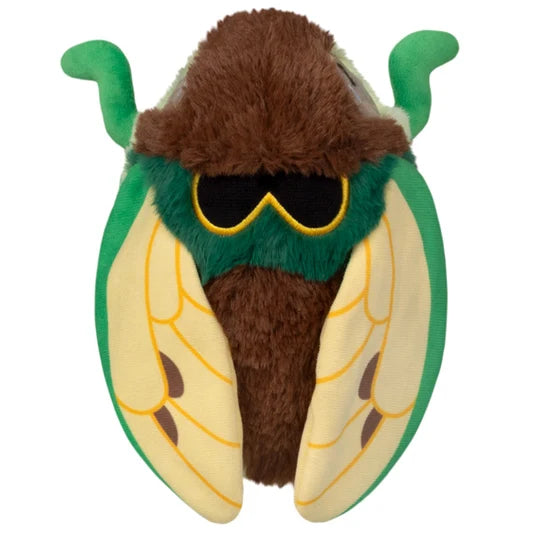 Squishable Snacker Cicada