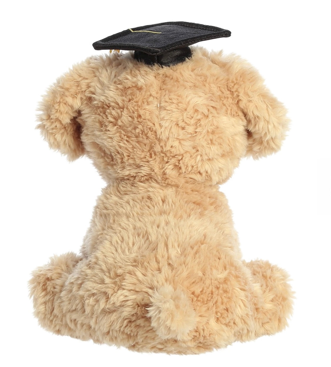 Graduation Pup