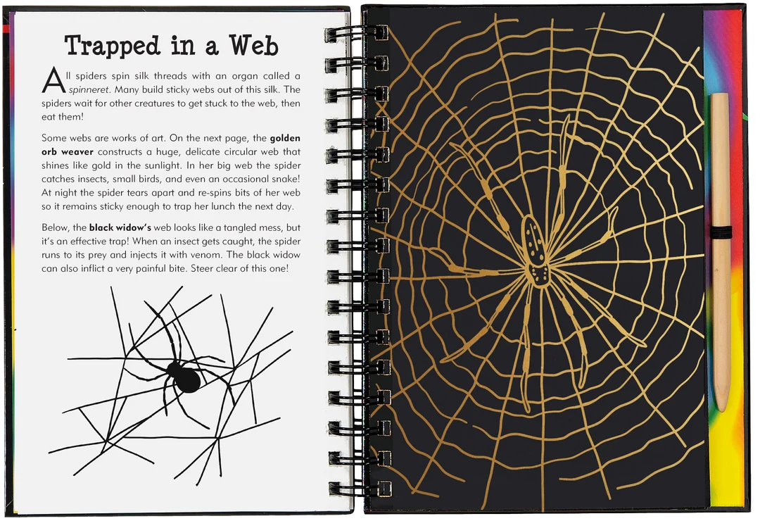 Scratch & Sketch Bugs!