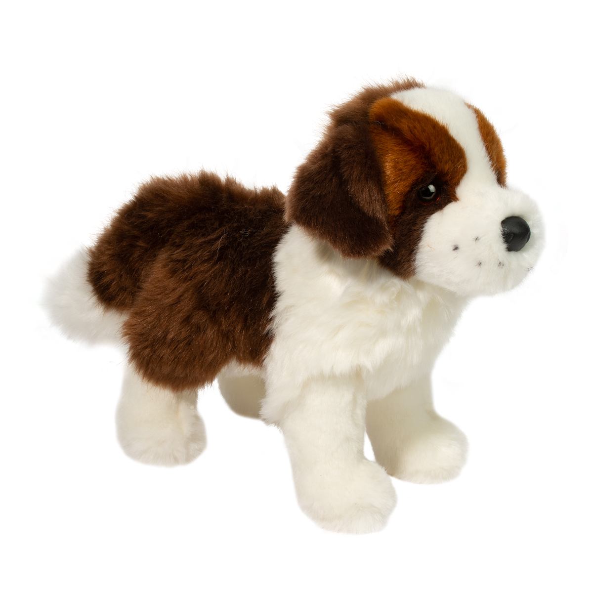 Brutus St. Bernard