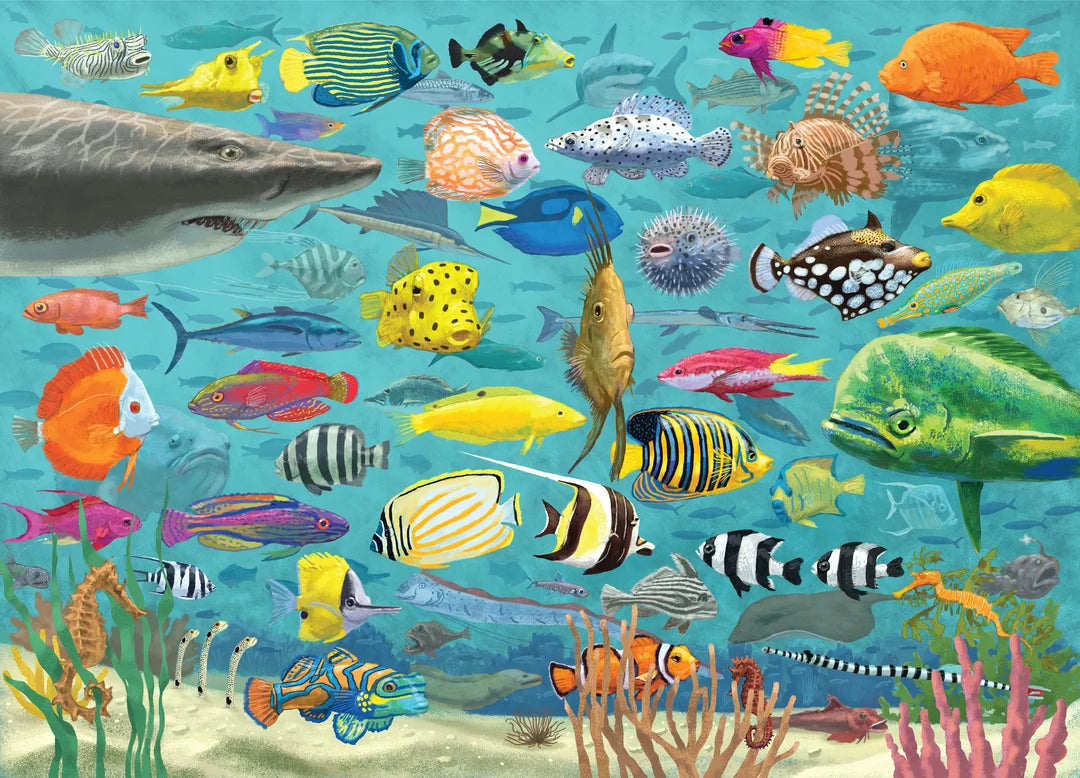 Peter Pauper All The Fish Puzzle 1000pc