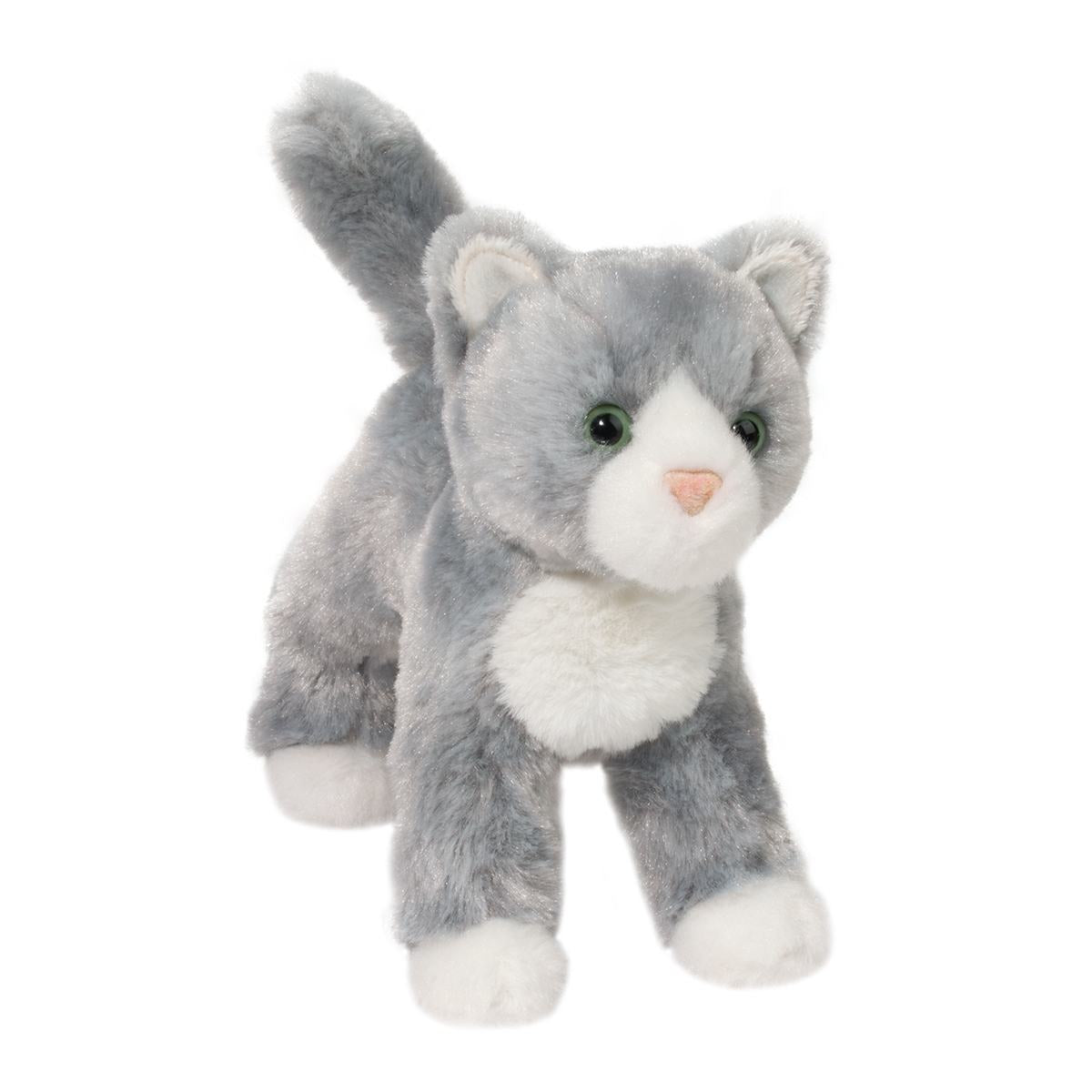 Scatter Grey Cat
