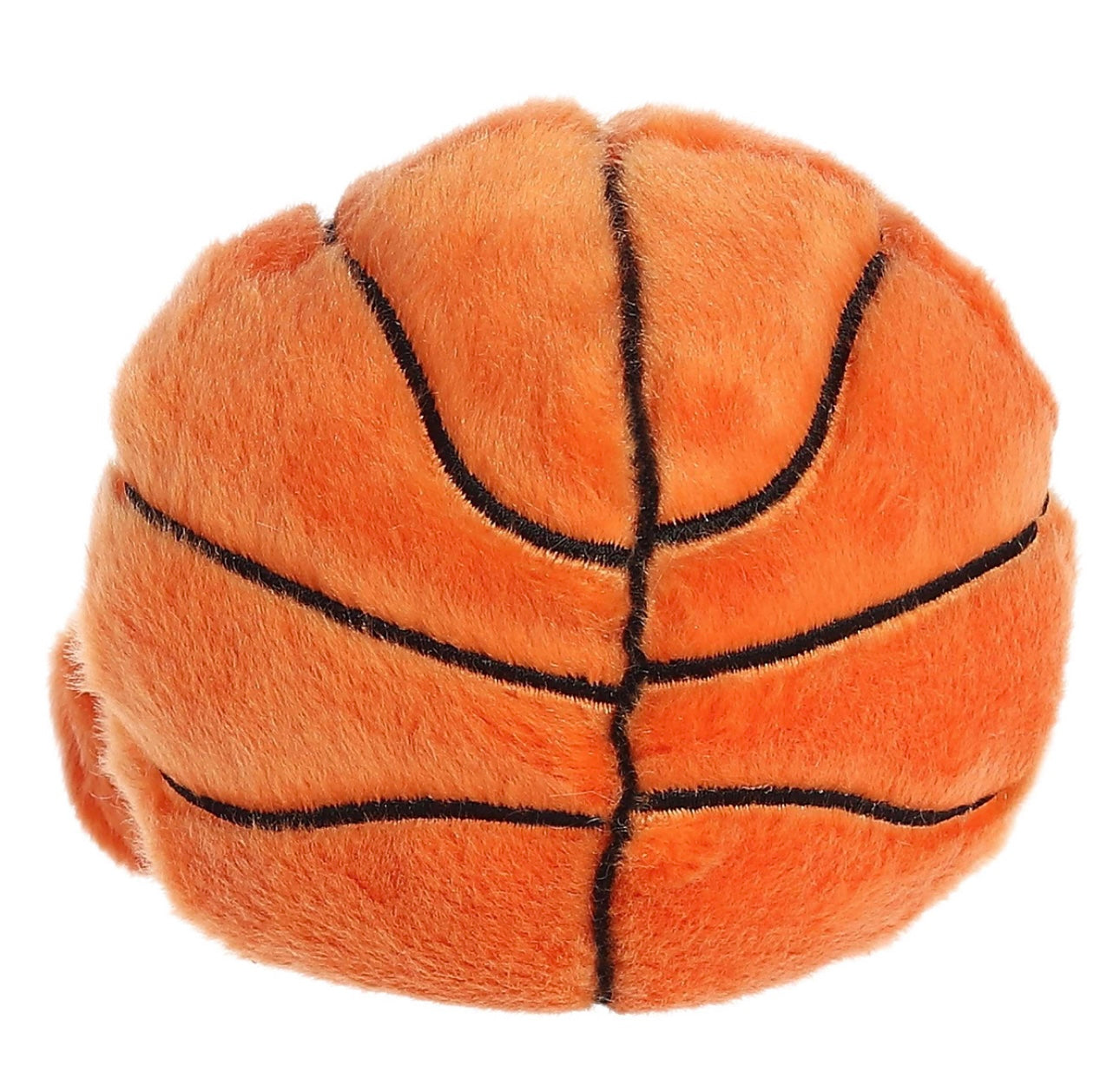Palm Pals Hoops Basketball