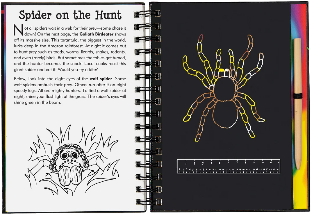 Scratch & Sketch Bugs!