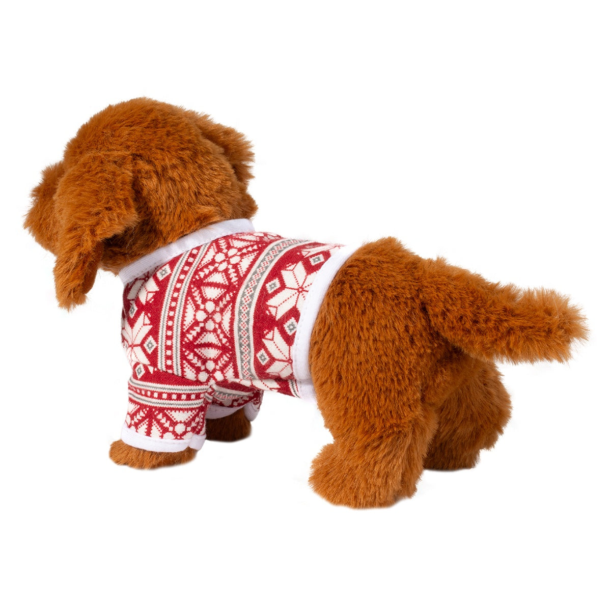 Mini Dachshund With Sweater