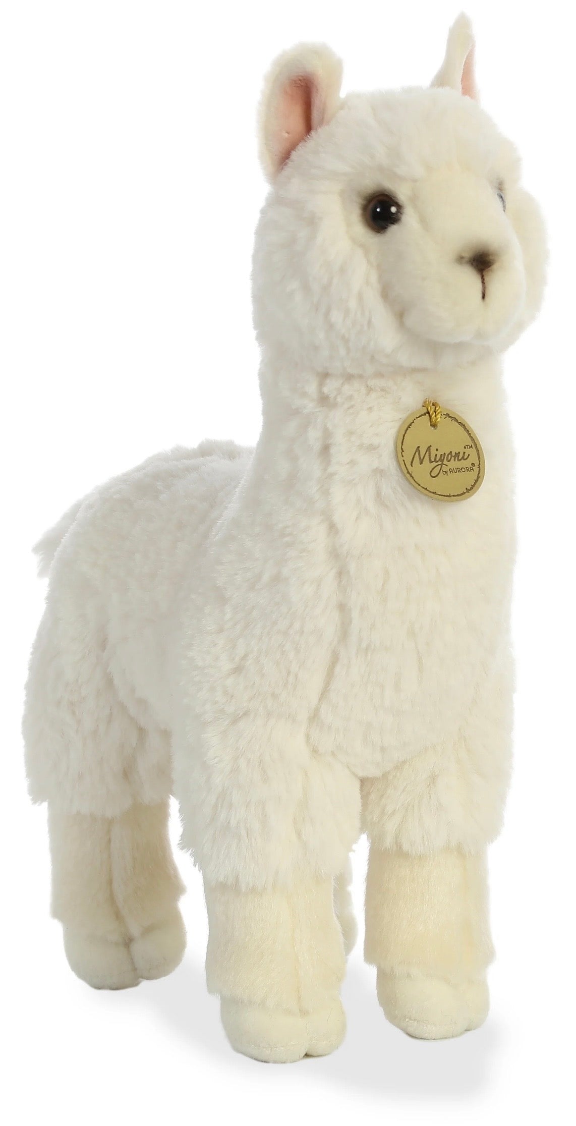 Miyoni Alpaca