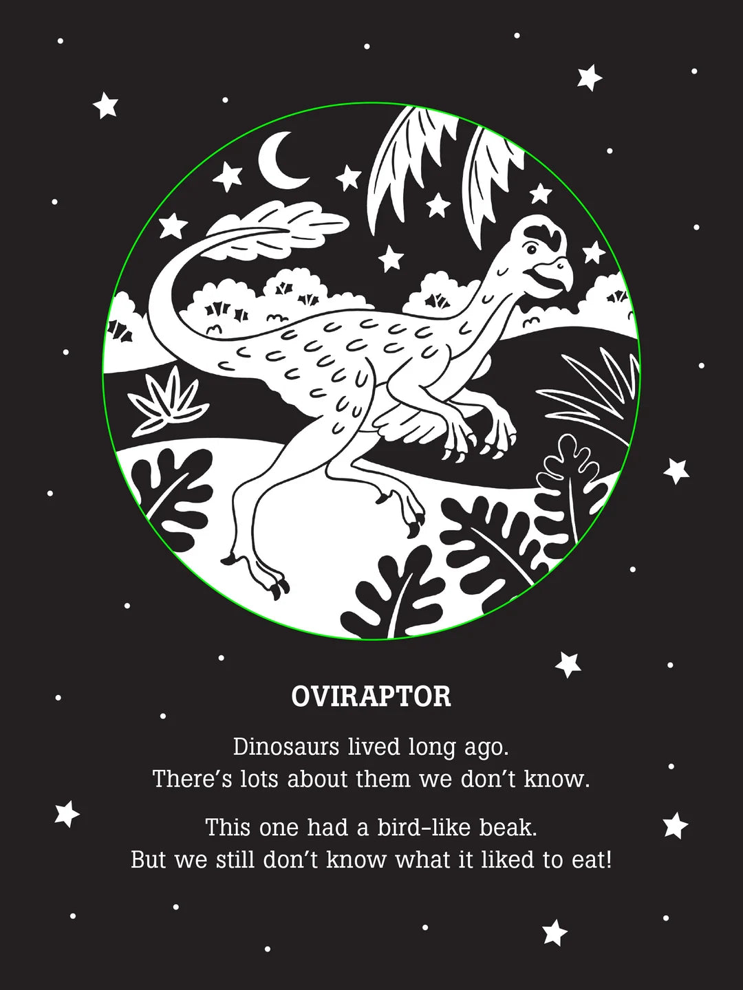 Bedtime Shadow Book Dinos After Dark