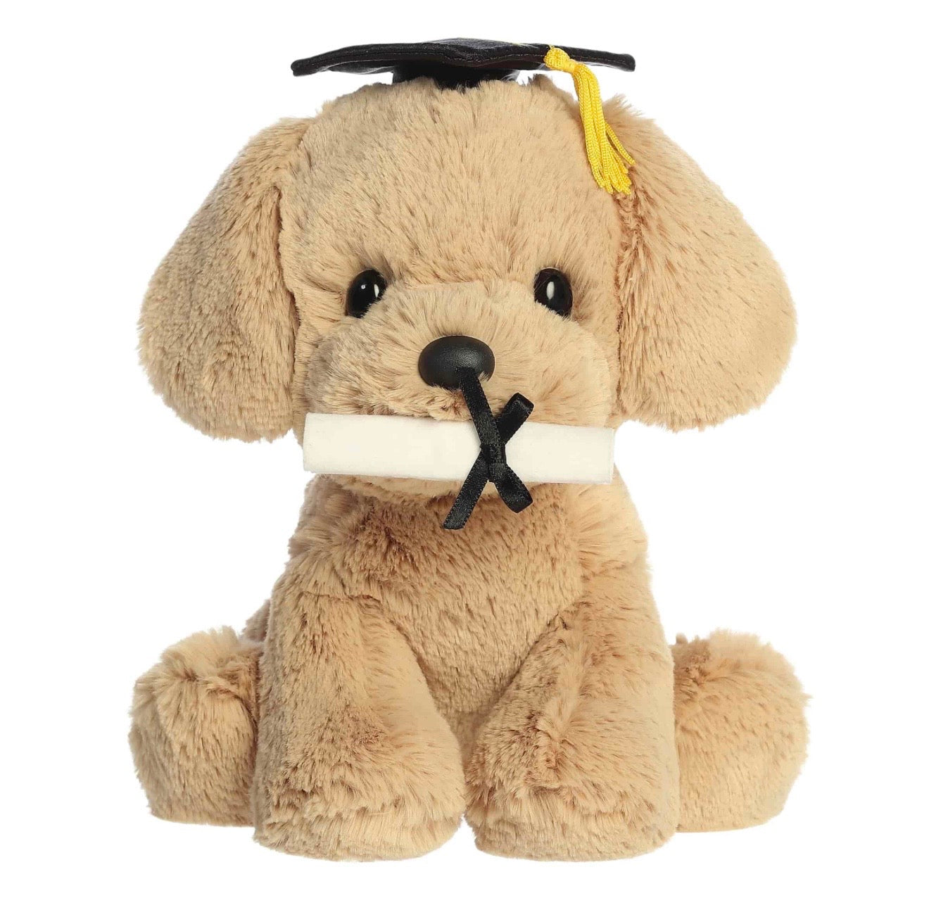 Graduation Retriever Pup