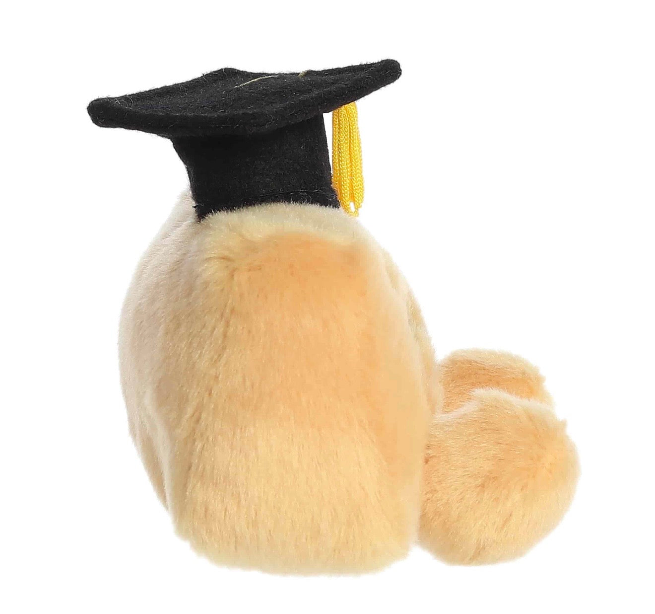 Palm Pals You Rule Ruler