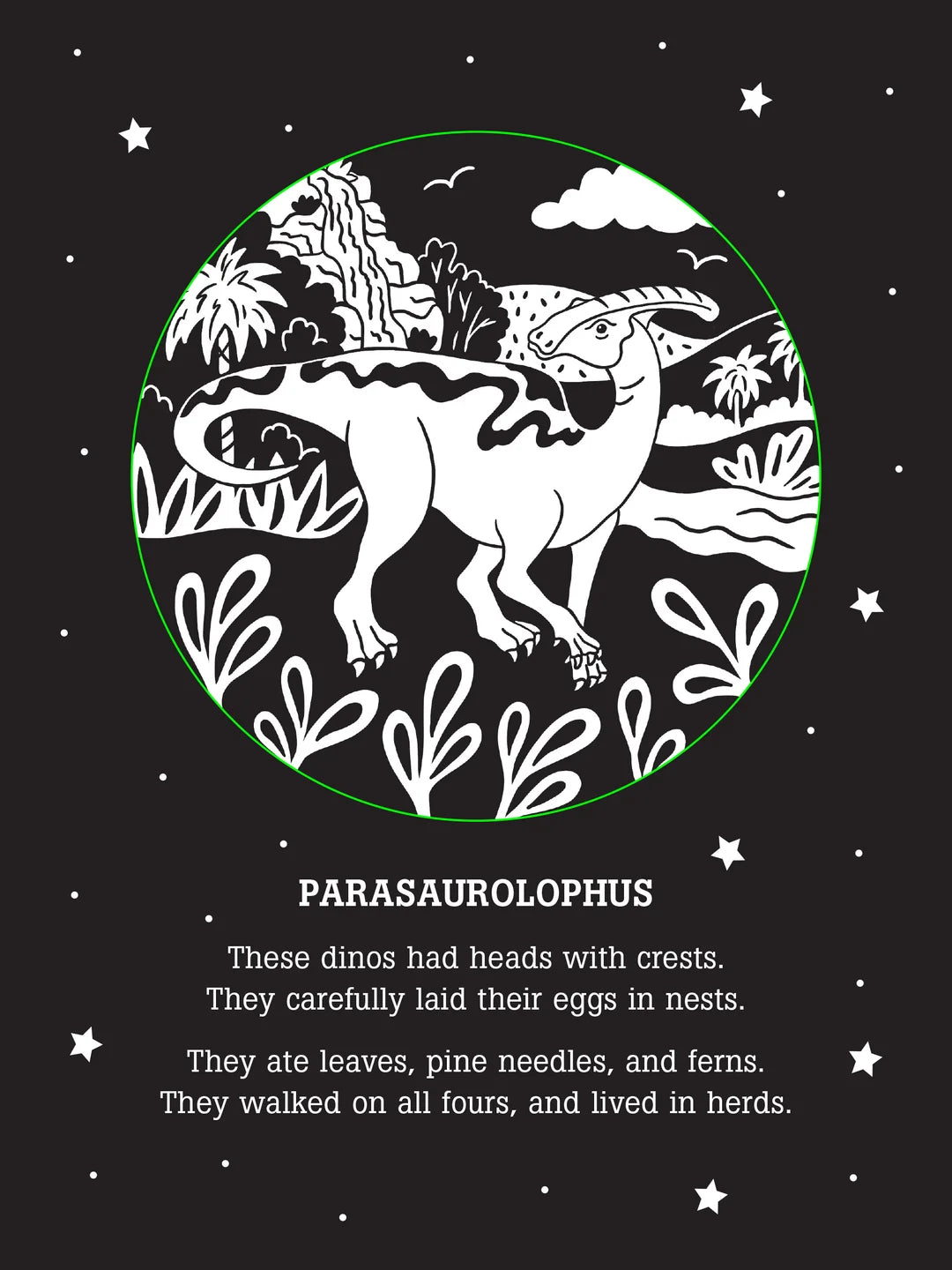 Bedtime Shadow Book Dinos After Dark