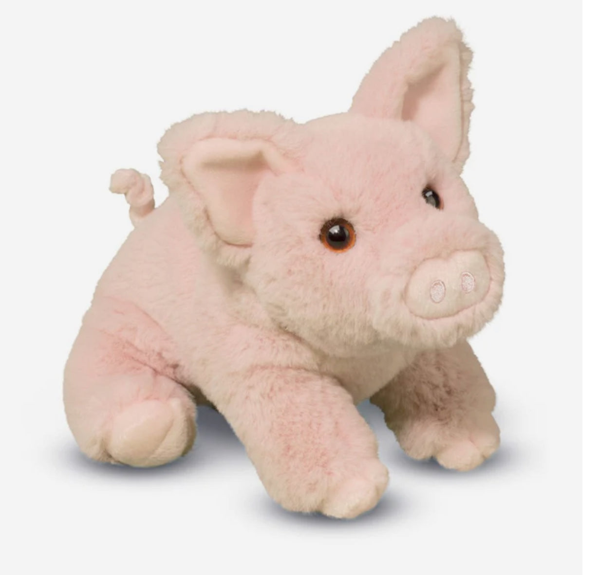 Douglas Piglet