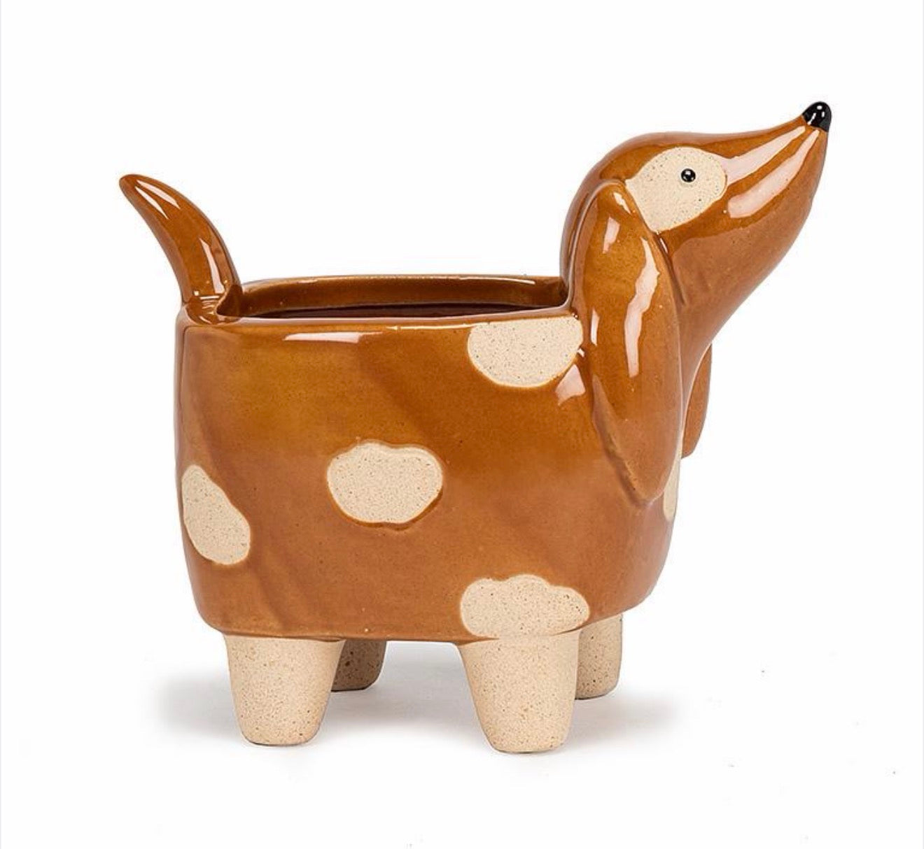 Spotted Dog Planter