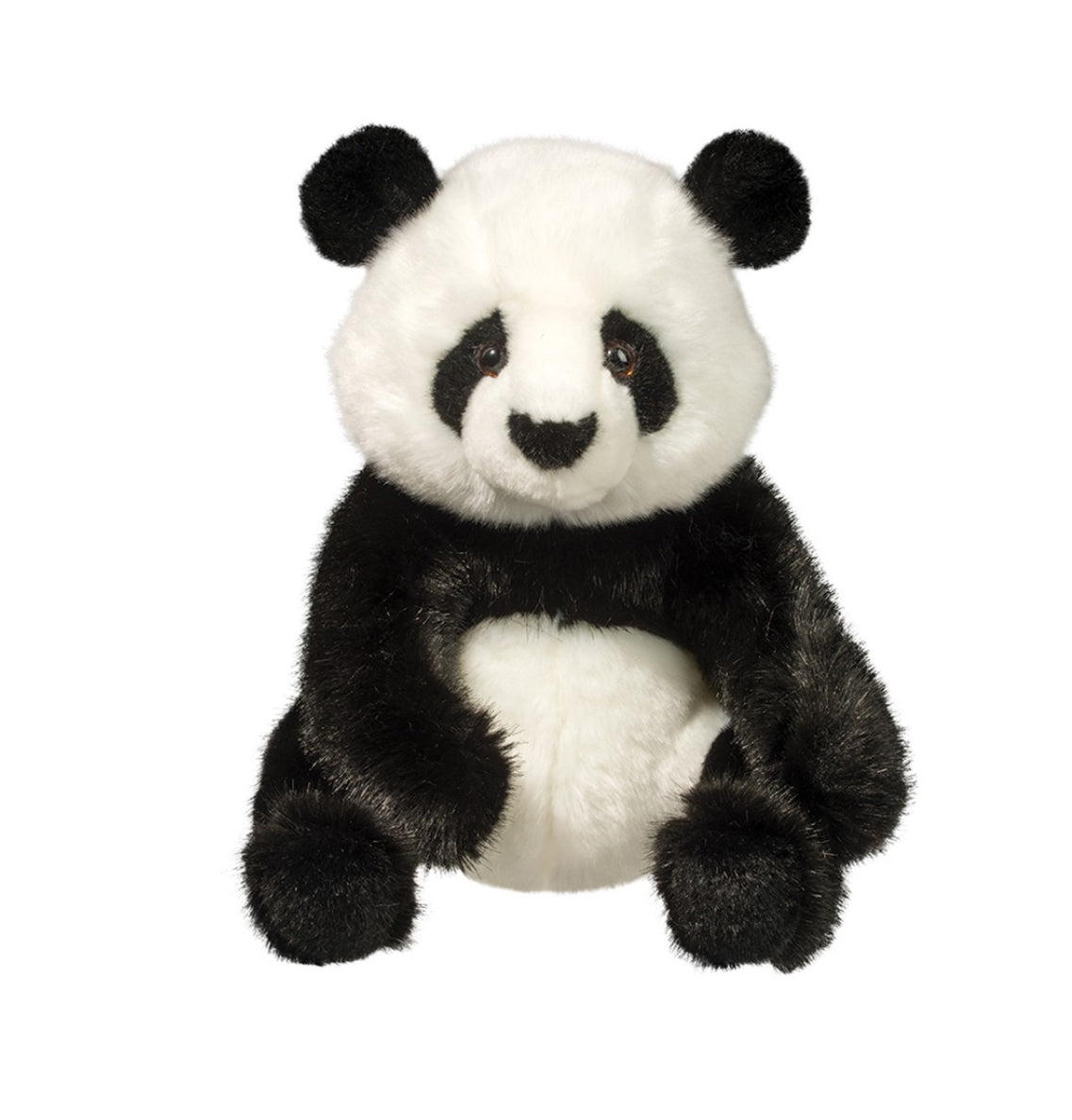 Paya Panda