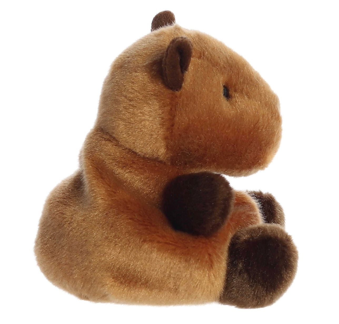 Palm Pals Sid Capybara