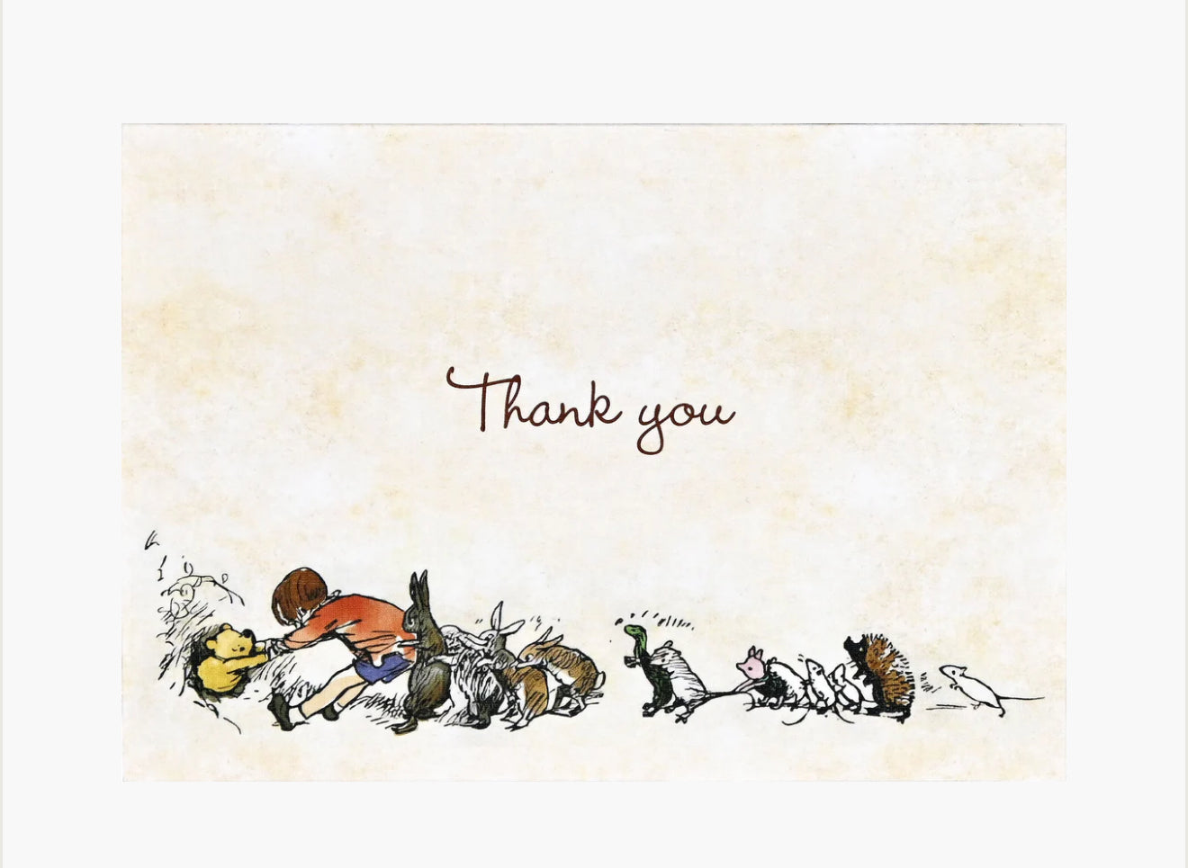 Boxed Thank You Cards (Various Styles)