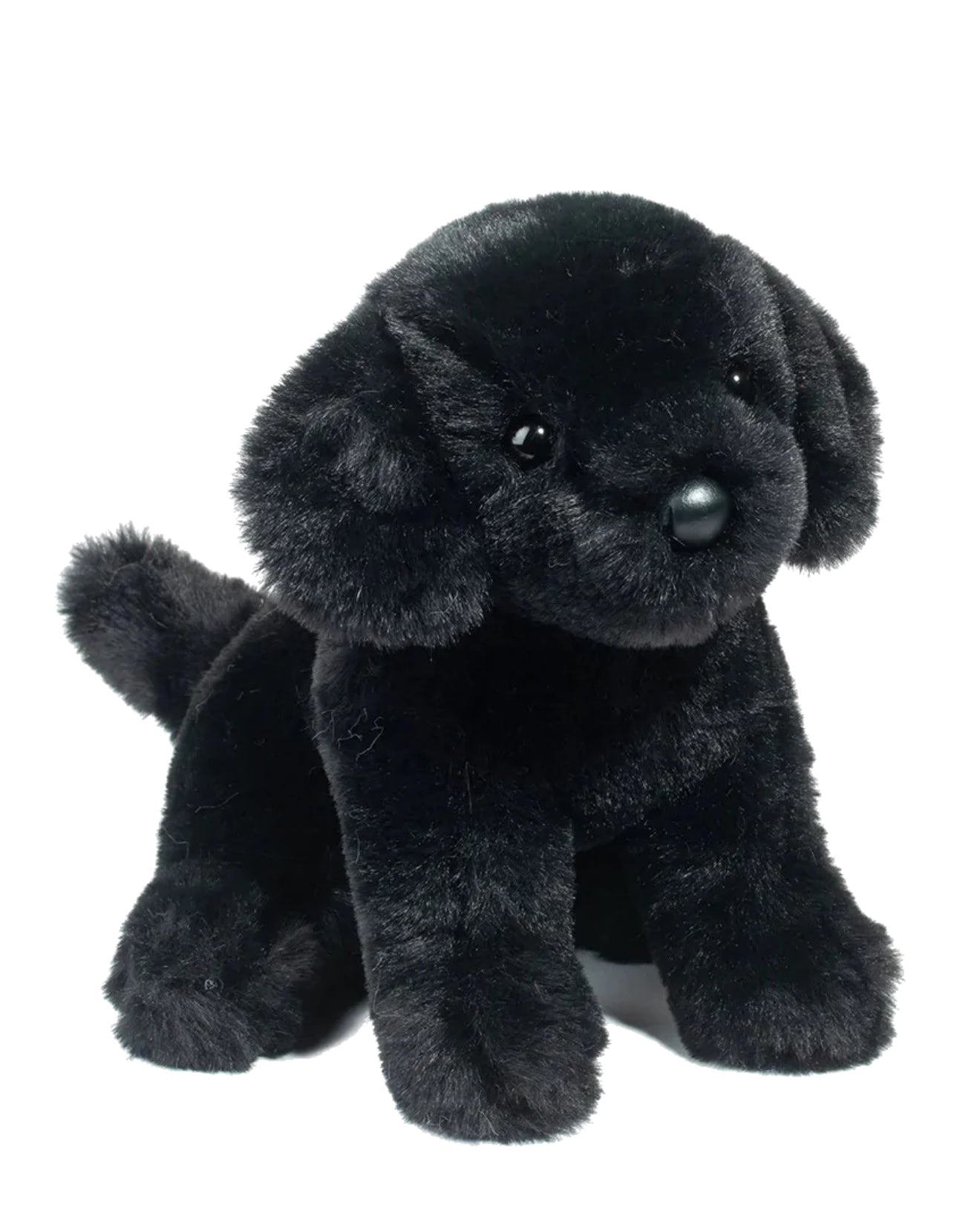 Douglas Hattie Black Lab
