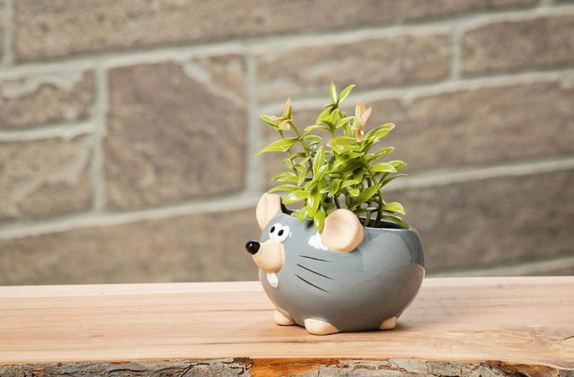 Grey Mouse Planter