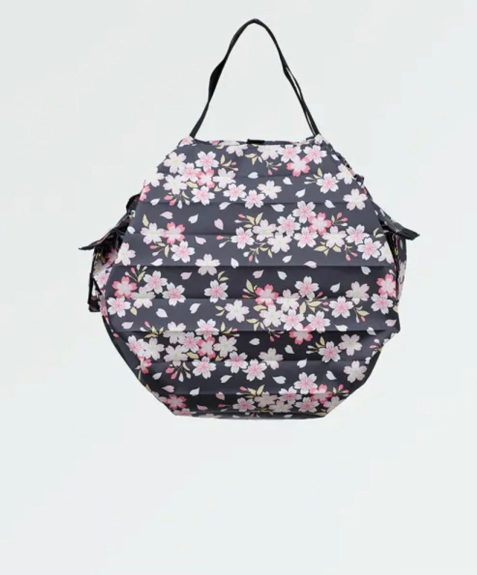 Shupatto Japanese Medium Collection