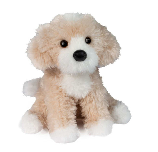 Douglas Darci Golden Doodle