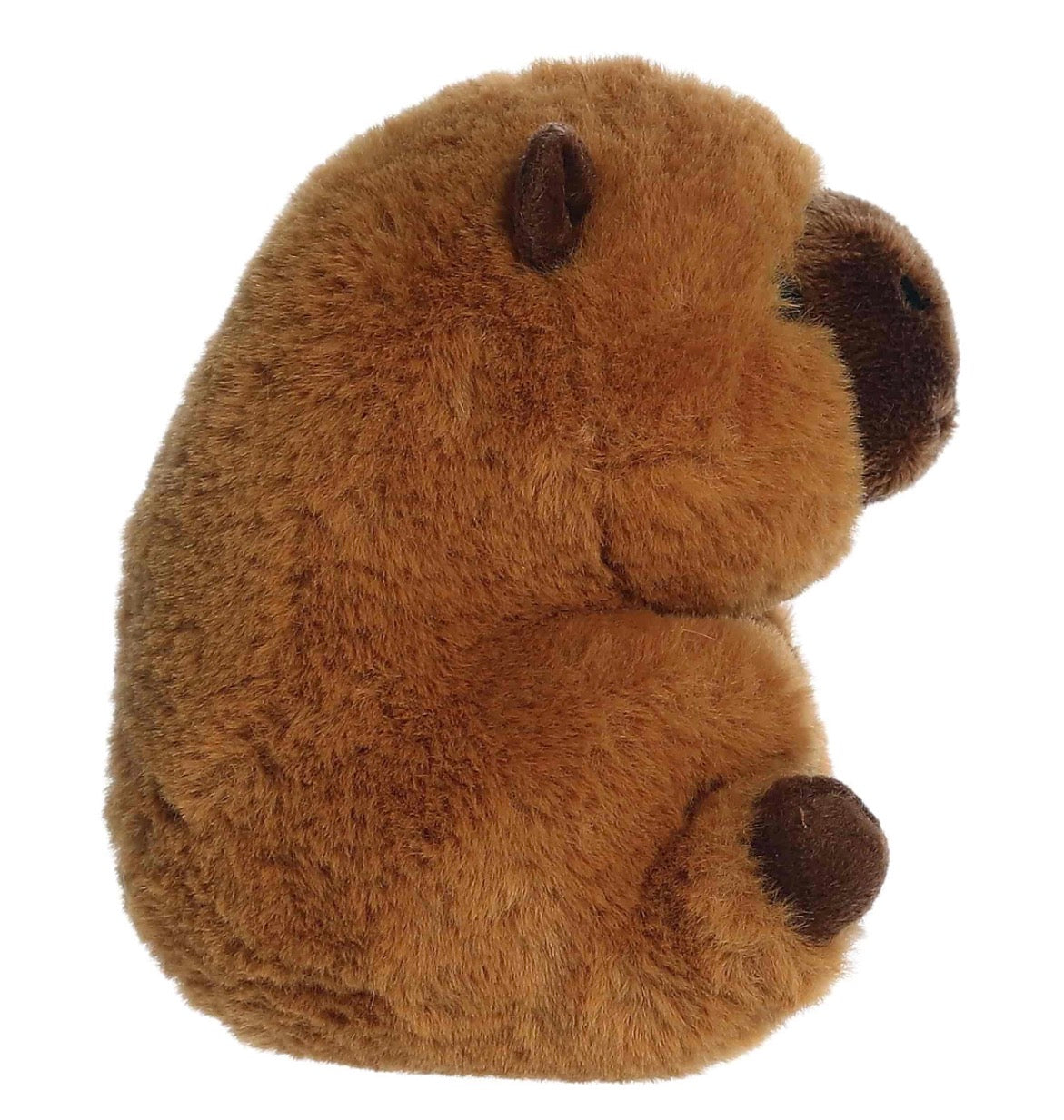 Rolly Pet Capybara