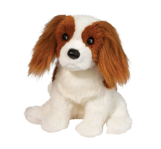 Douglas Kingsley Spaniel