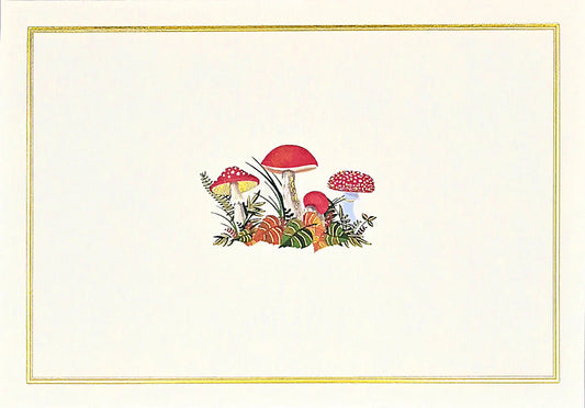 Peter Pauper Boxed Note Cards (Various Styles)