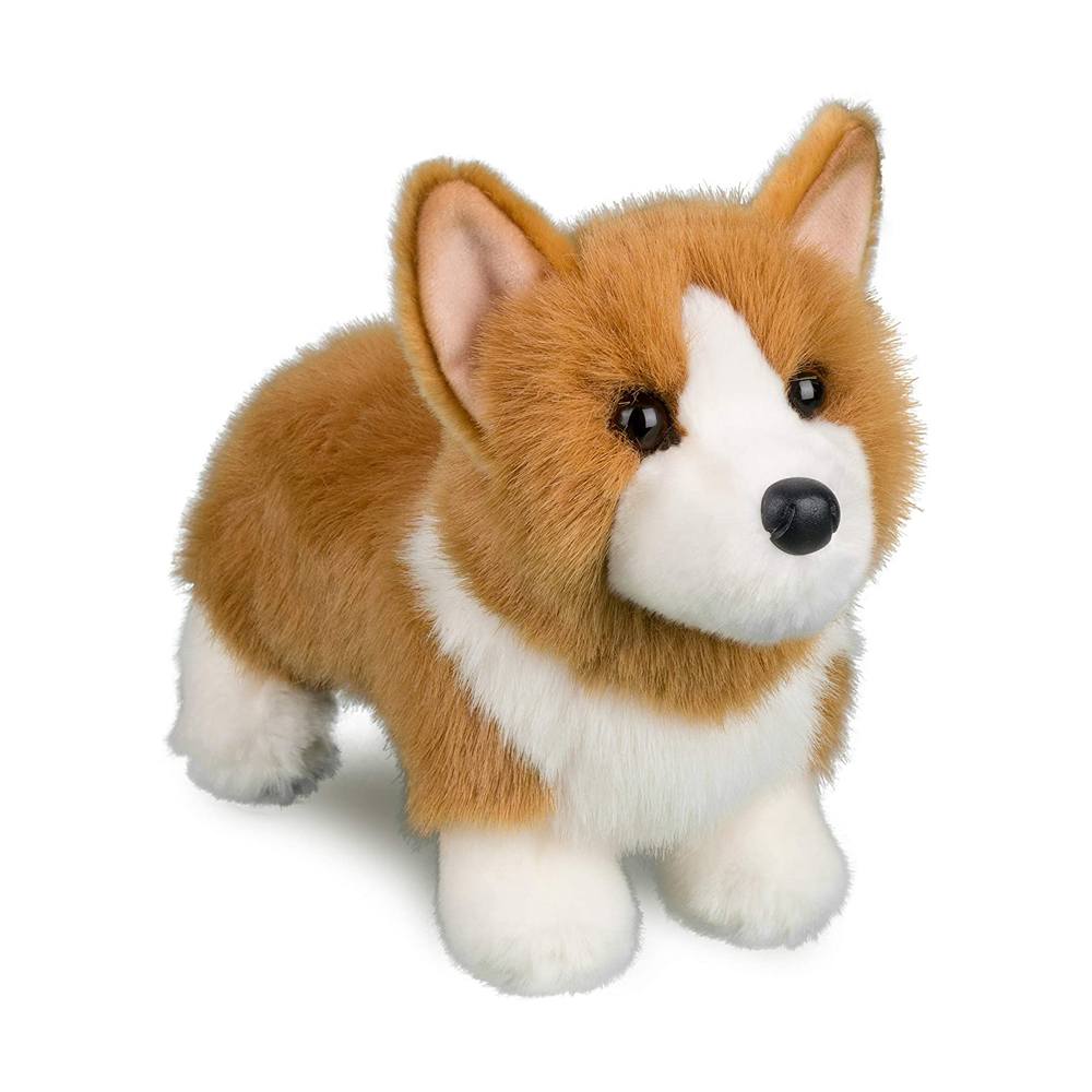 Douglas Louie Corgi