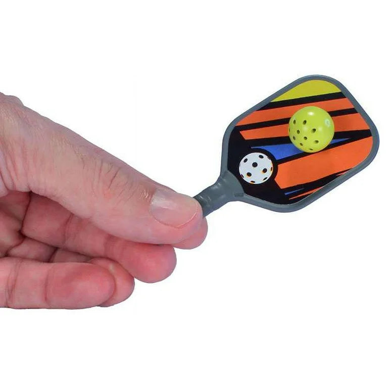 World’s Smallest Pickle Ball