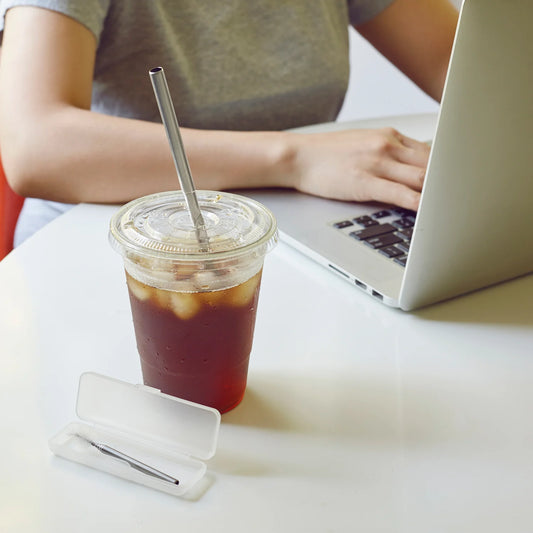 Kikkerland Stainless Steel Travel Straw