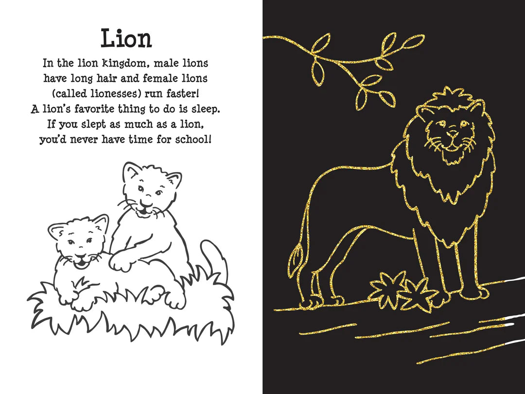 Scratch & Sketch At The Zoo
