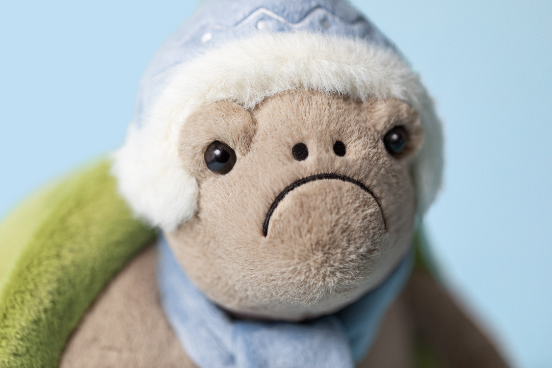 Jellycat Timmy Turtle 'Skating'